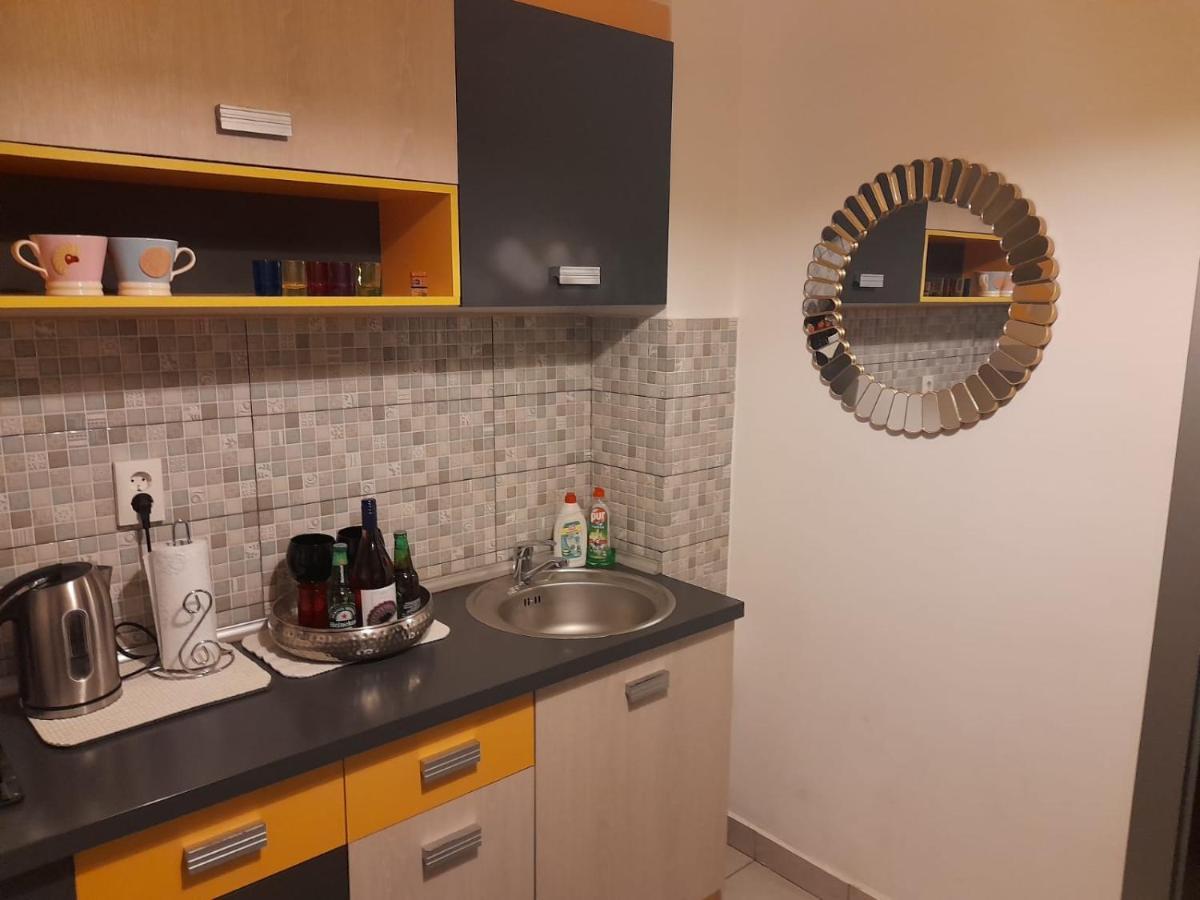 Downtown "Rendez-Vous" Luxury Apartment Bacău Екстериор снимка